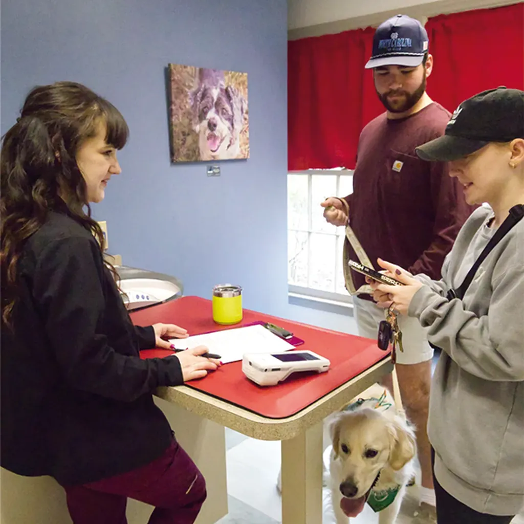 Chapel Hill Veterinary Telemedicine Appointments in Chapel Hill, NC by Meadowmont Animal Hospital